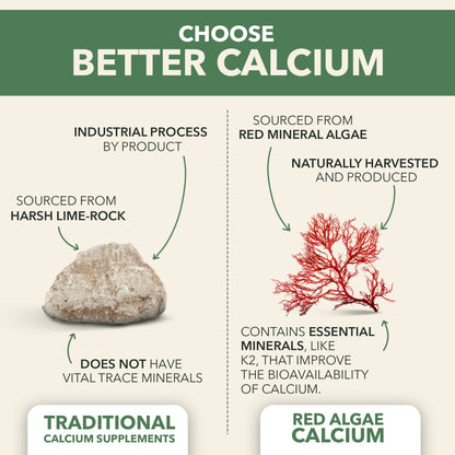 PlantFusion Vegan Calcium, Premium Plant Based Calcium (1000mg) Sourced from Icelandic Red Algae, Plus Magnesium, D3, K2 PlantFusion