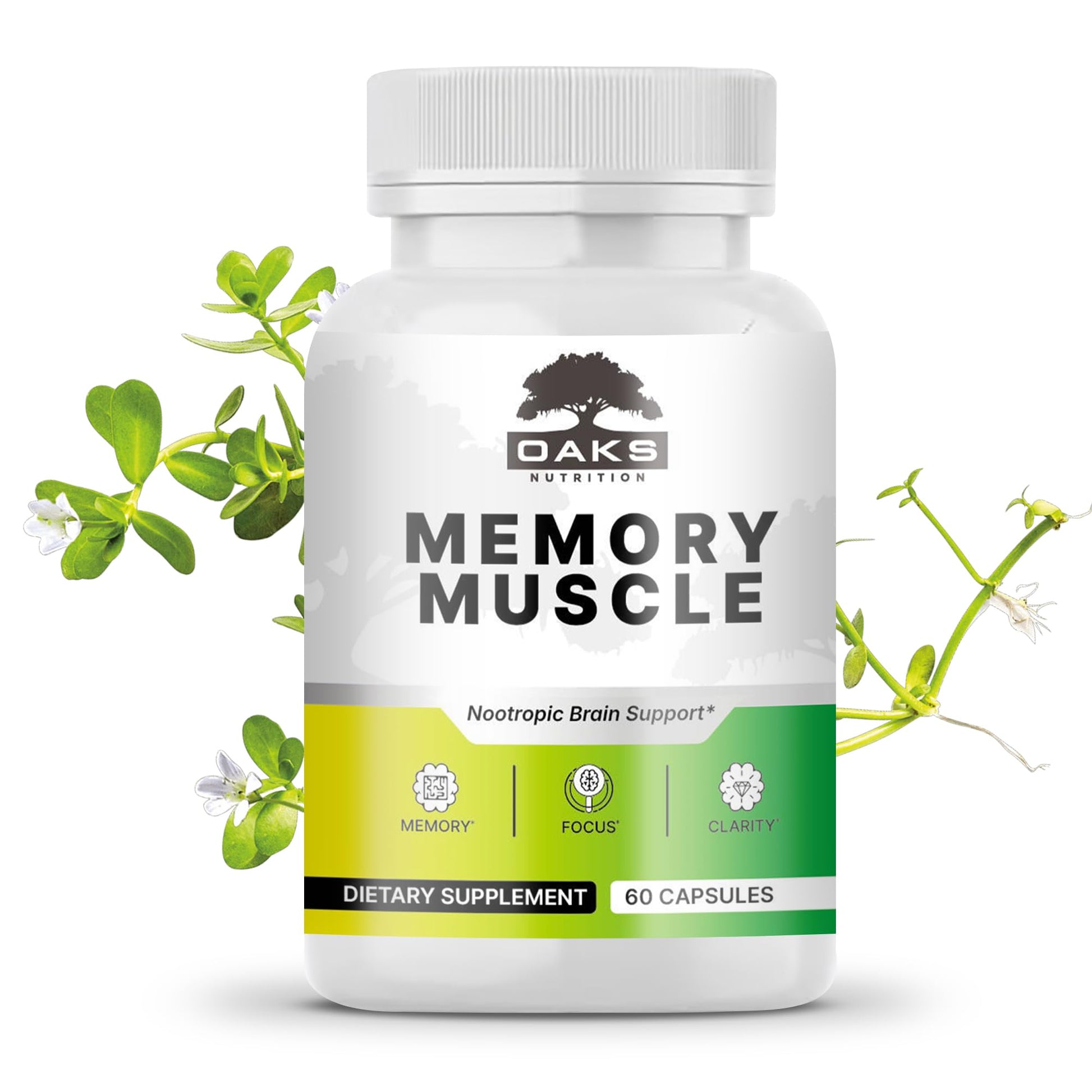 Memory Muscle – Advanced Nootropic Brain Supplement with Vitamin B12, Bacopa Monnieri & DMAE for Focus, Memory, Mental Clarity & Clean Energy – Premium Cognitive Support Formula Oaks Nutrition buy australia supplements