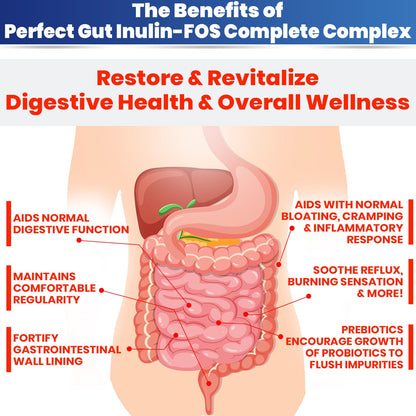 Perfect Gut: Inulin FOS Powder for Gut Health. Prebiotic Inulin. Unique Prebiotic 95% FOS Inulin Agave Fiber Kidney Restore