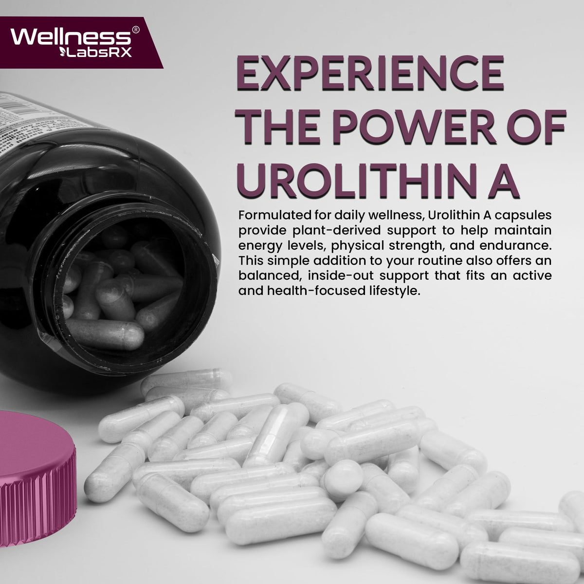 Urolithin A Supplement Capsules 1,000mg (98.9% Pure) – Advanced Urolithin A+ Formula for Cellular Renewal & Mitochondrial Support WELLNESS LABSRX