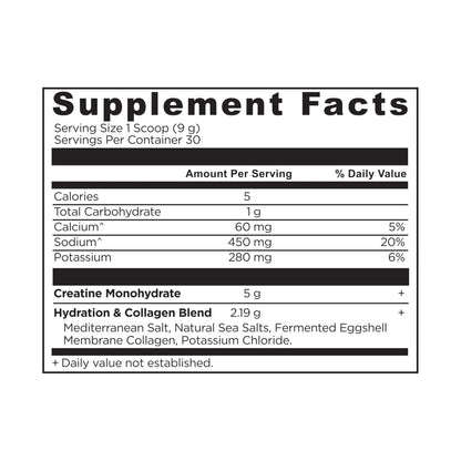 Ancient Nutrition Creatine + Collagen + Electrolytes – Muscle Strength, Lean Body Mass, Joint Comfort & Cognitive Support – Includes 5g Creatine Monohydrate for Women Ancient Nutrition