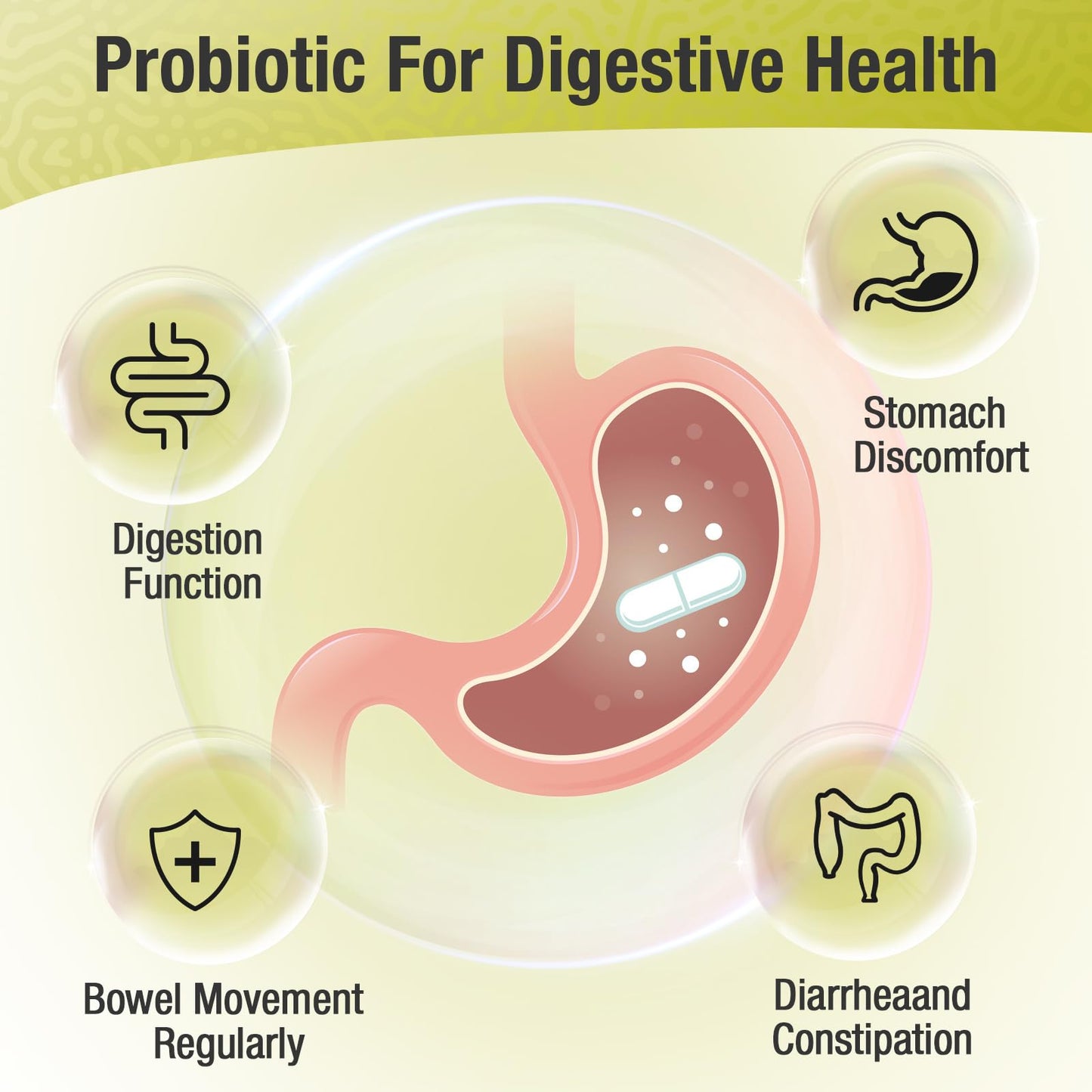 Probiotics for Women & Men - 300 Billion CFU, 24 Strains + 15 Organic Herbs Prebiotics Blend, Daily Probiotic for Digestive Health, Immune, Gut, Bloating Ascuoli