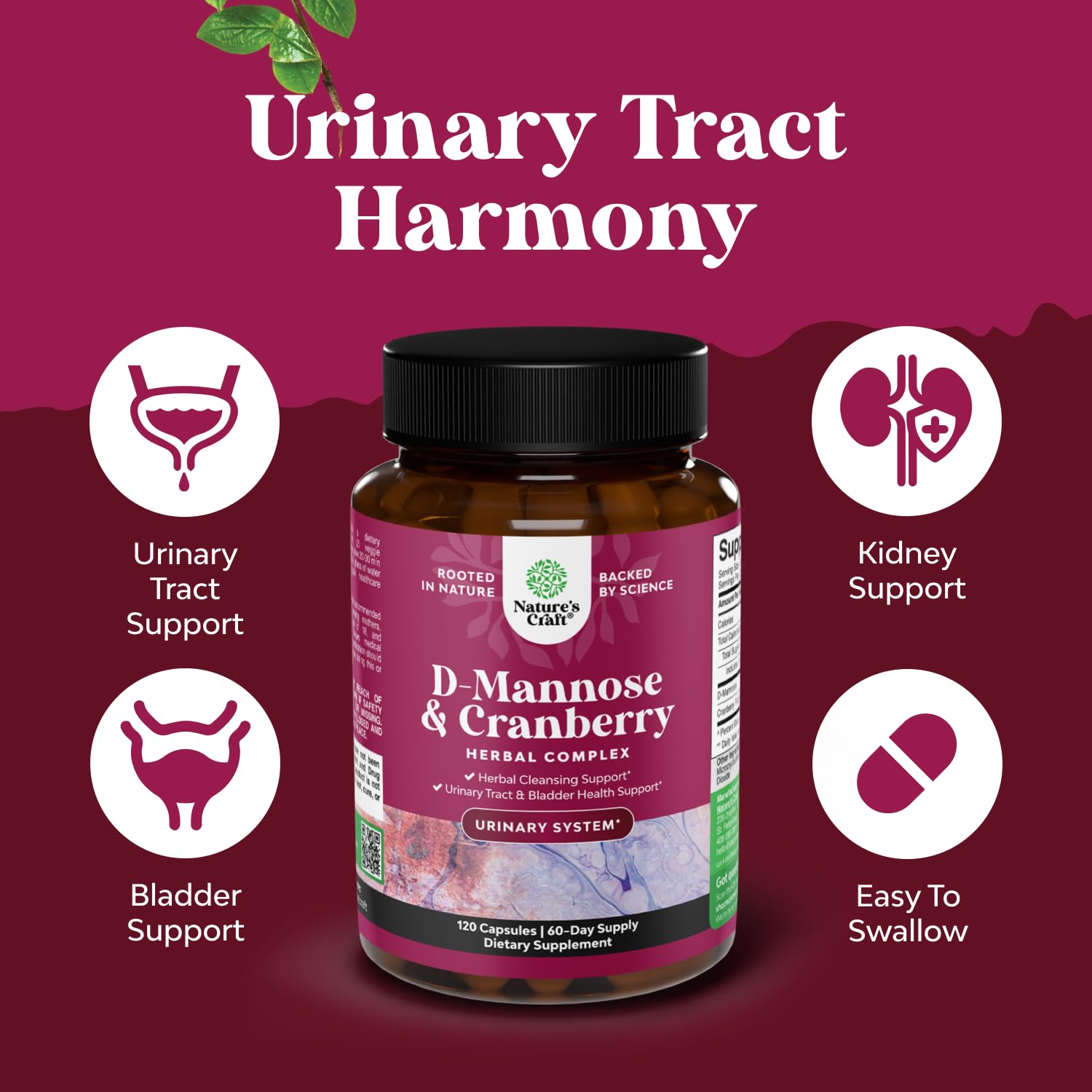 D Mannose with Cranberry Supplement - Potent D Mannose 1000mg Capsules for Kidney Defense Support & Cleanse and Urinary Tract Health for Women & Men - Bladder Health Supplement for Adults - 60 Count Gsupps Australia