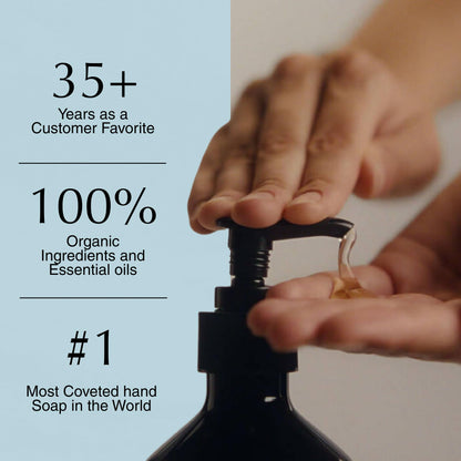 Aesop Reverence Aromatique Exfoliating Hand Wash | Exfoliating Hand Soap with Finely Milled Pumice | Gentle Cleansing & Skin-Smoothing Formula with Vetiver, Petitgrain & Bergamot | 500mL / 16.9 oz Aesop