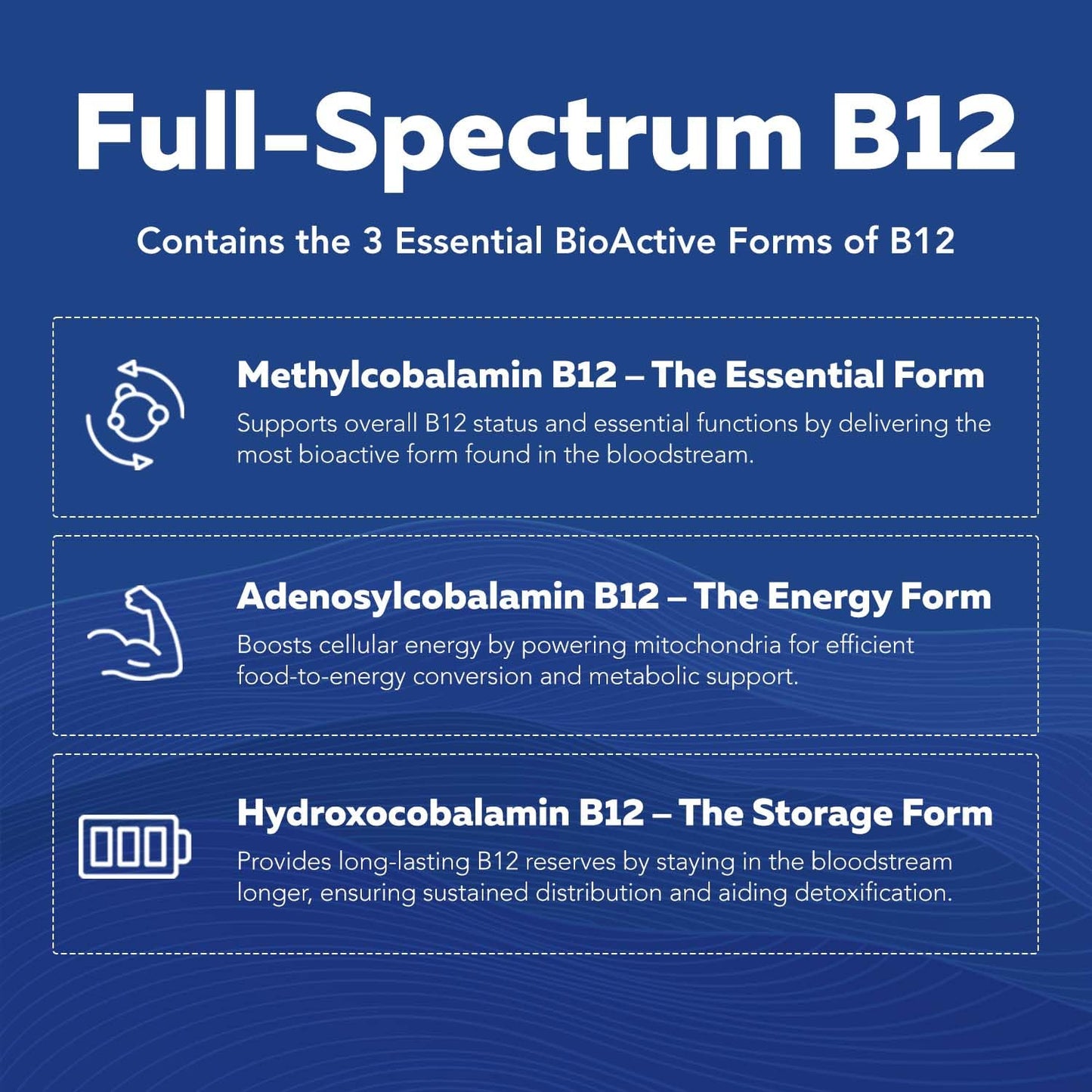 BioActive Vitamin B Complex - Blood Stream Ready, Methylated B Complex - Featuring Methylfolate, 3 BioActive Forms of B12, BenfoPure® B1 & Pantesin Triquetra Health