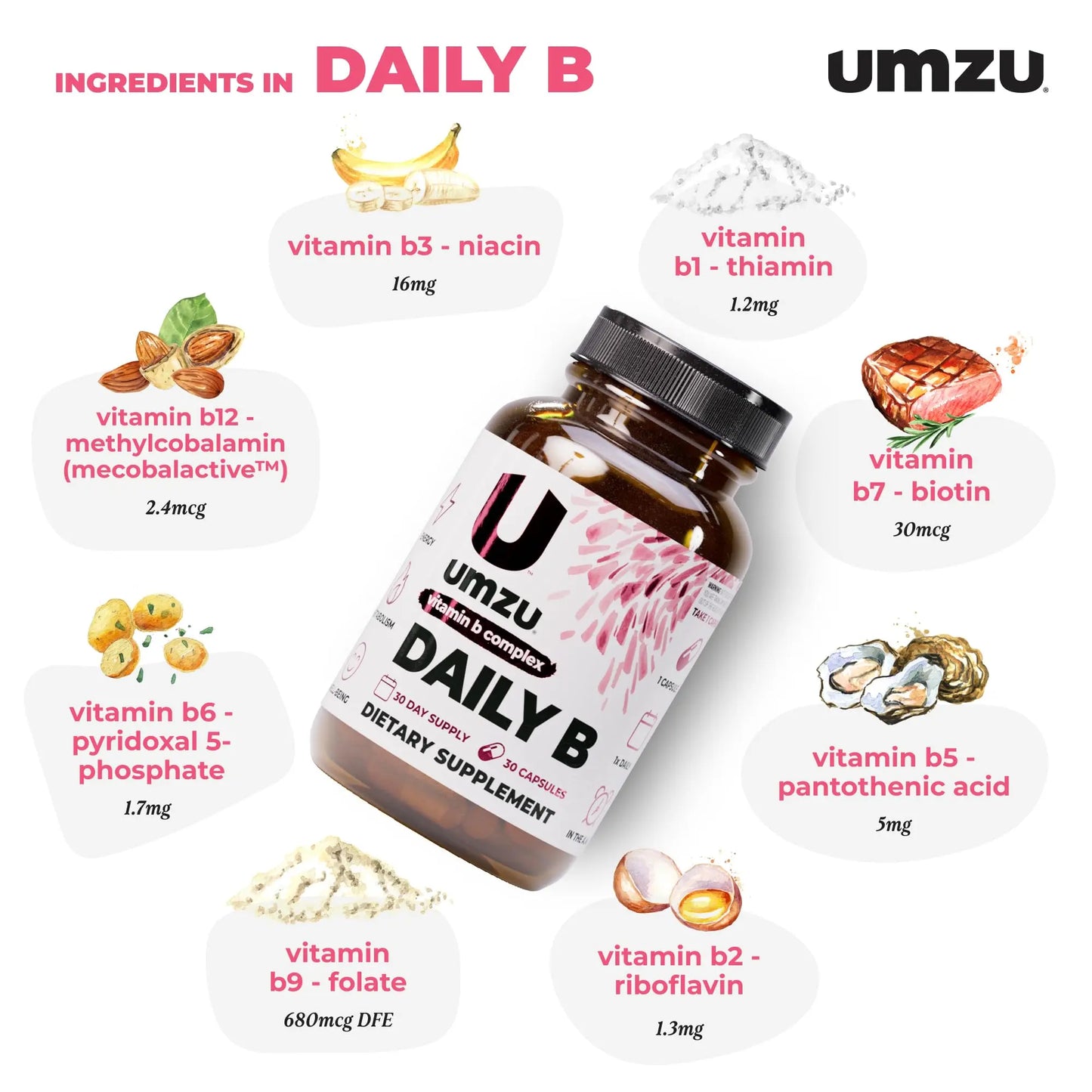 UMZU Daily B, 30 Day Supply – Complete Vitamin B Complex Supplement Blend with B1, B2, B3, B5, B6, B7, B9 & B12 Plus Folic Acid & Biotin – Supports Energy, Focus, Mood, UMZU
