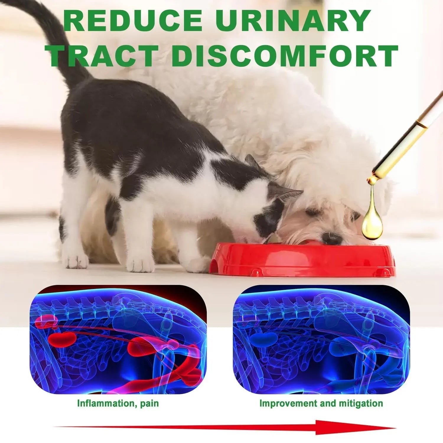 Urinary Tract for Cats, Cat & Dog Urinary Tract Drops Infection Remedy with Cranberry Dog Supplements, Cranberry Kidney Bladder Support Supplement - 60ml / 2 Fl.oz JoanofArc buy australia supplements