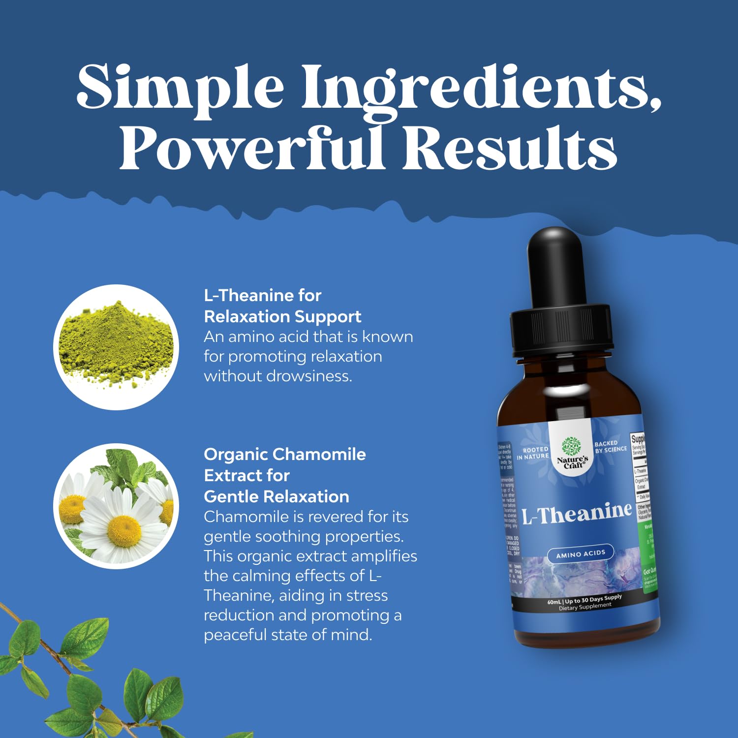 High Absorption L-Theanine Liquid Drops - Nootropic Focus Supplement with L Theanine 200mg Per Serving and Chamomile Extract Supplement for Adults and Kids Relaxation and Focus - 2 Fl Oz Natures Craft buy australia supplements