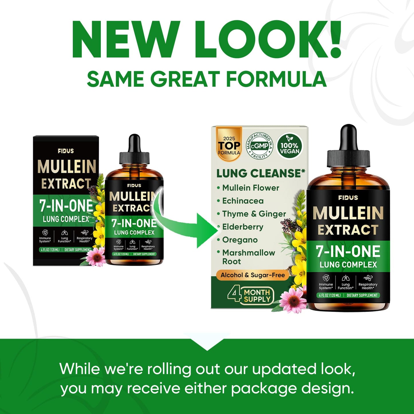 Mullein Drops for Lungs, 120 Servings - Mullein Leaf with 7 Herbs Echinacea, Oregano, Ginger, Elderberry, Marshmallow Root & Thyme - Lung Detox for Smokers Fidus