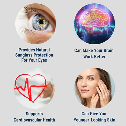 Advanced Bionutritionals Healthy Resolve Multivitamin 40 Nutrients with Lutein, Lycopene, B Vitamins, D3, Calcium Citrate & Antioxidants – Eye, Heart, Brain & Immune Support – 60 Capsules
