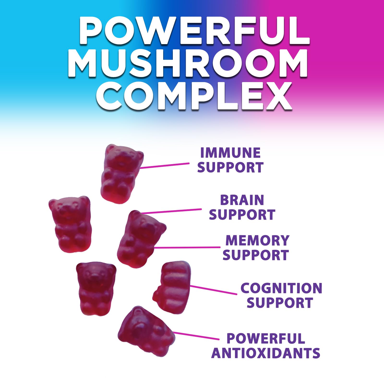 Mushroom Gummies Supplement 12 in 1 - High Grade Blend for Adults with Lions Mane, Reishi, Cordyceps, & Chaga Mushroom Complex Gummy, Memory & Immune Support & Nootropic Brain Supplements - 60 Gummies Nature's Nutrition buy australia supplements