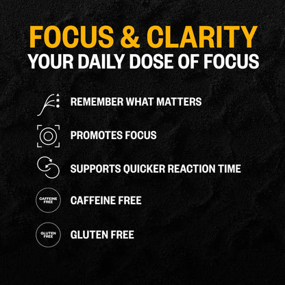 ONNIT Alpha Brain Nootropic Brain Supplement for Focus, Memory, Mental Clarity, Cognitive Support with L-Theanine and Vitamin B6, 30 Count Capsules ONNIT