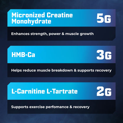 Huge Creatine HMB + LCLT, 5g Micronized Creatine Monohydrate with 3g HMB & 2g L-Carnitine L-Tartrate for Muscle Growth, Increased Strength, Enhanced Recovery & Improved Performance (Fruit Punch)