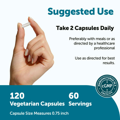 Micro Ingredients Probiotics for Men 100 Billion CFU, 40 Strains, 120 Vegetarian Capsules | Pre, Probiotics, Postbiotics & Enzymes | Pre, Probiotics, Enzymes, Saw Palmetto, Pumpkin Seed & Lycopene Micro Ingredients