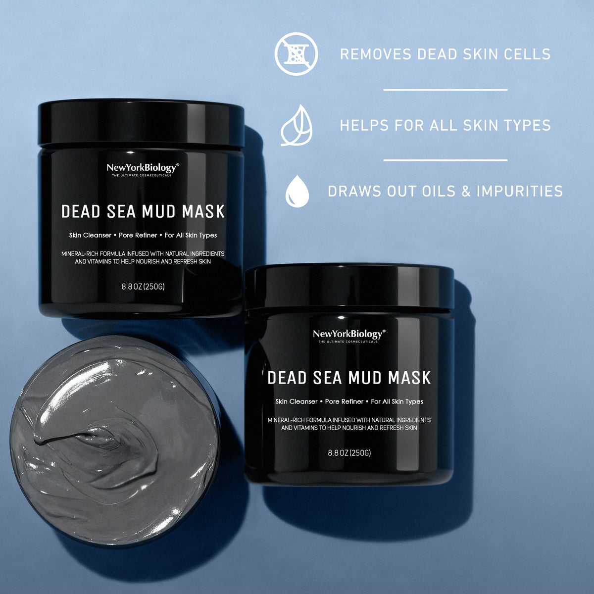 New York Biology Dead Sea Mud Mask for Face & Body - 8.8 oz NEW YORK BIOLOGY THE ULTIMATE COSMECEUTICALS