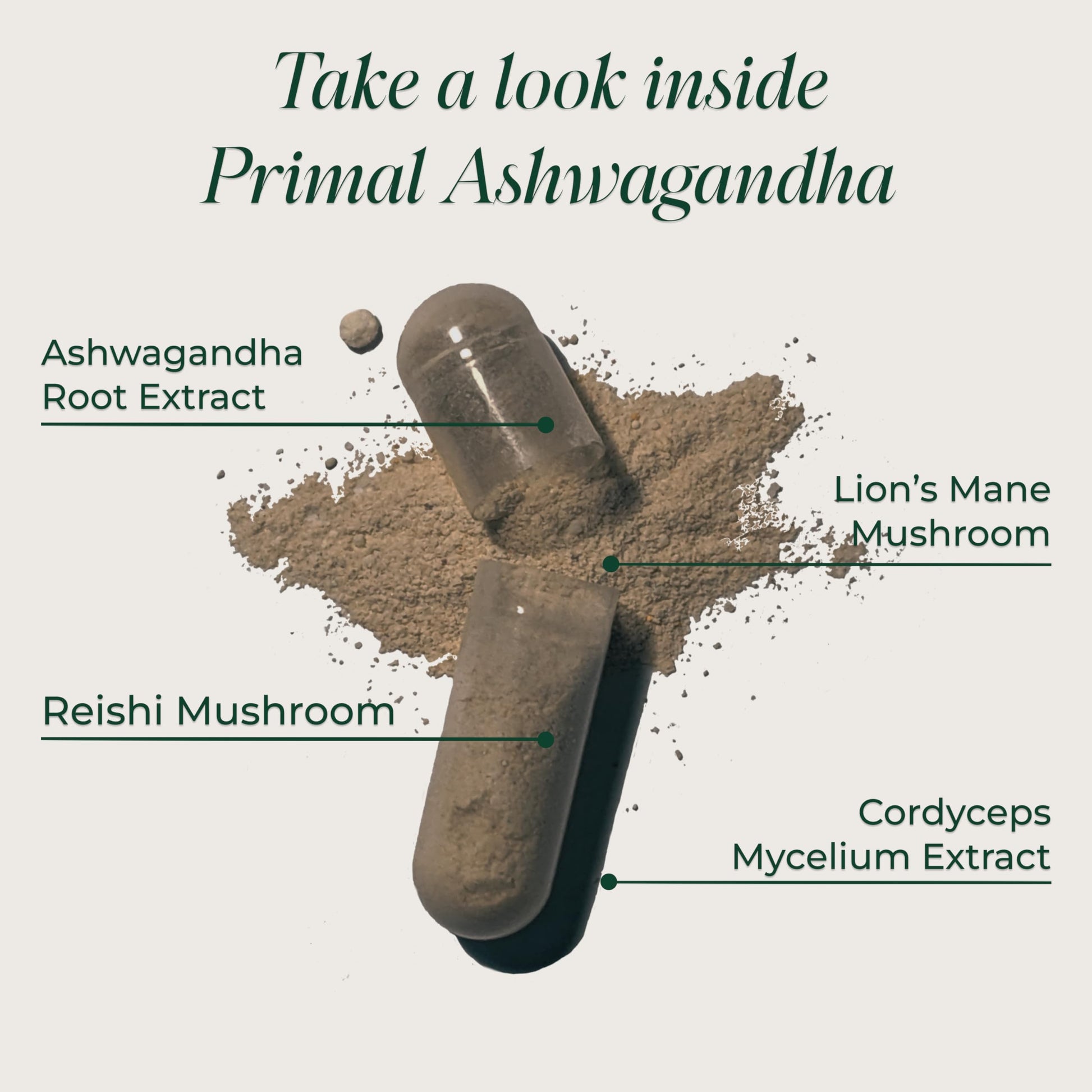 Primal Harvest Ashwagandha Supplement with 5 Mushroom Extracts: Lion’s Mane, Reishi, Cordyceps, Turkey Tail & Maitake for Immune Support & Cognitive Health Primal Harvest buy australia supplements