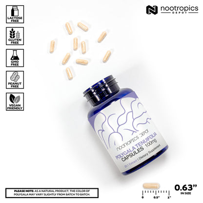 Nootropics Depot Polygala tenuifolia Capsules | 100mg | 90 Count | 20:1 Extract | Yuan Zhi | Promotes Cognitive Function, Learning and Memory | Supports Healthy Stress Levels | Adaptogen Supplement