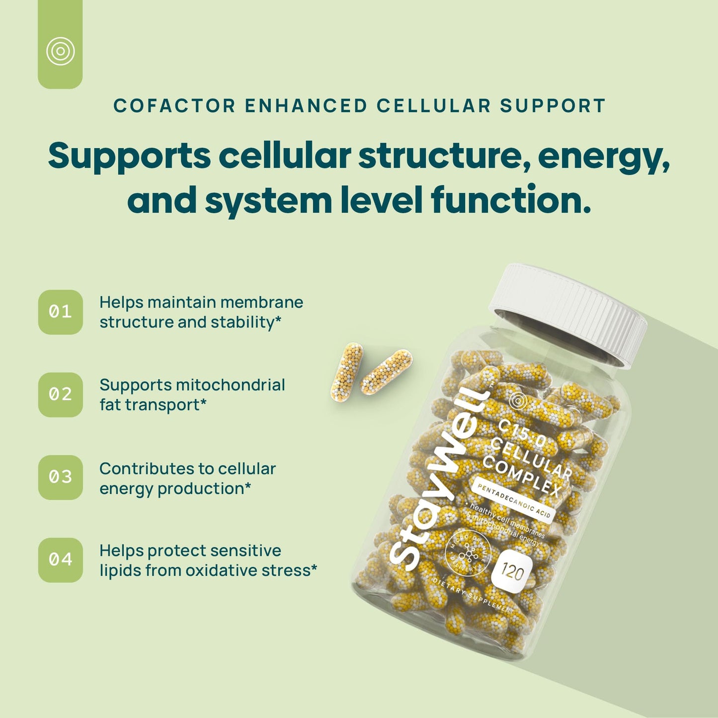 C15:0 Pentadecanoic Acid Supplement | Longevity, Cellular & Membrane Support, Micro-Granule Enhanced Absorption, Phosphatidylcholine, L-Carnitine, Stay-Well Naturals