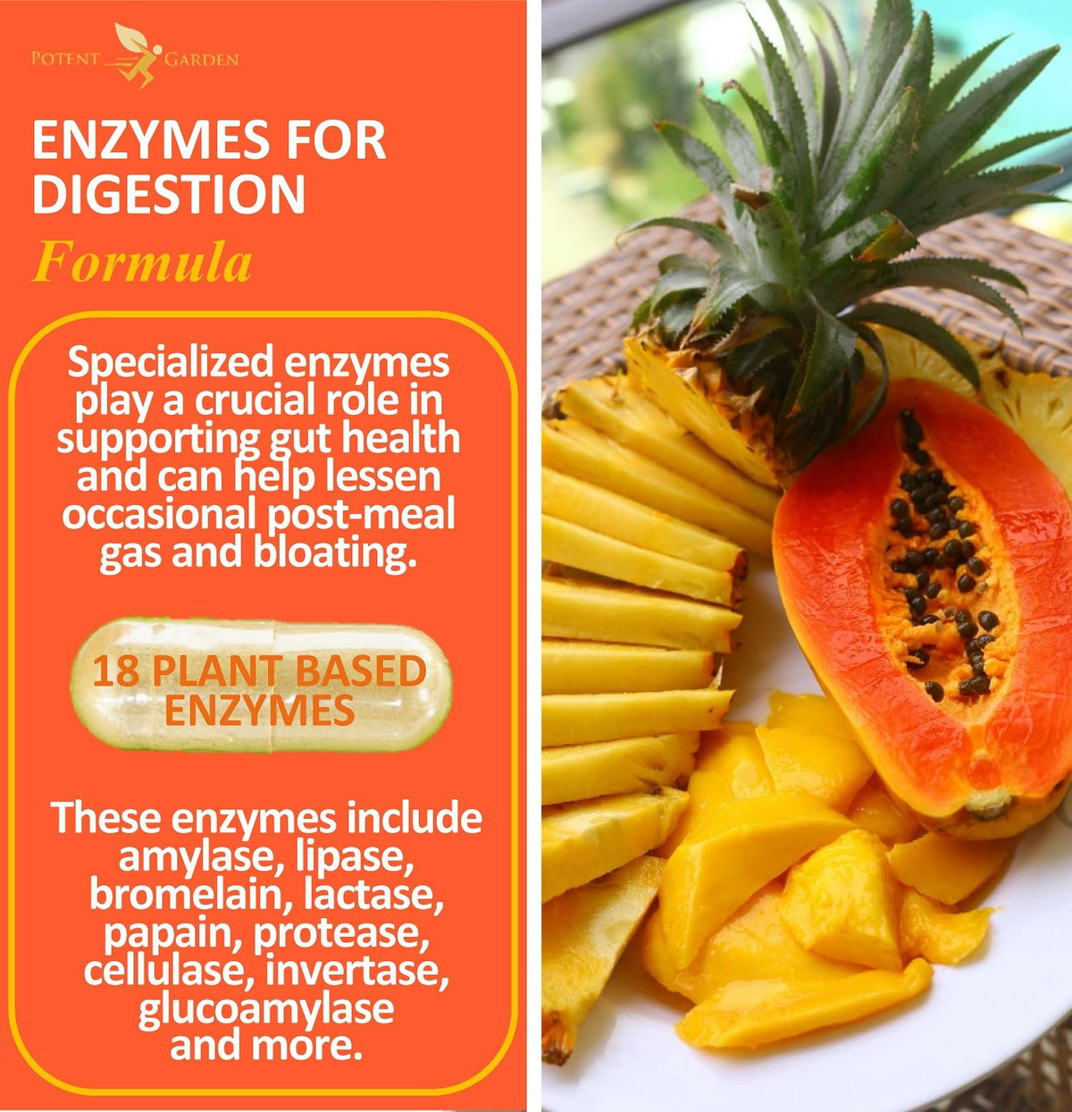Potent Garden Digestive Enzymes -18 Plant Based Enzymes with amylase lipase bromelain Protease lactase & Other Enzymes - One Pre Meal Pill Supports Healthy Potent Garden