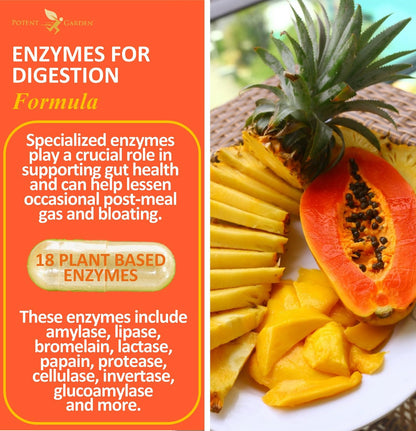 Potent Garden Digestive Enzymes -18 Plant Based Enzymes with amylase lipase bromelain Protease lactase & Other Enzymes - One Pre Meal Pill Supports Healthy Potent Garden