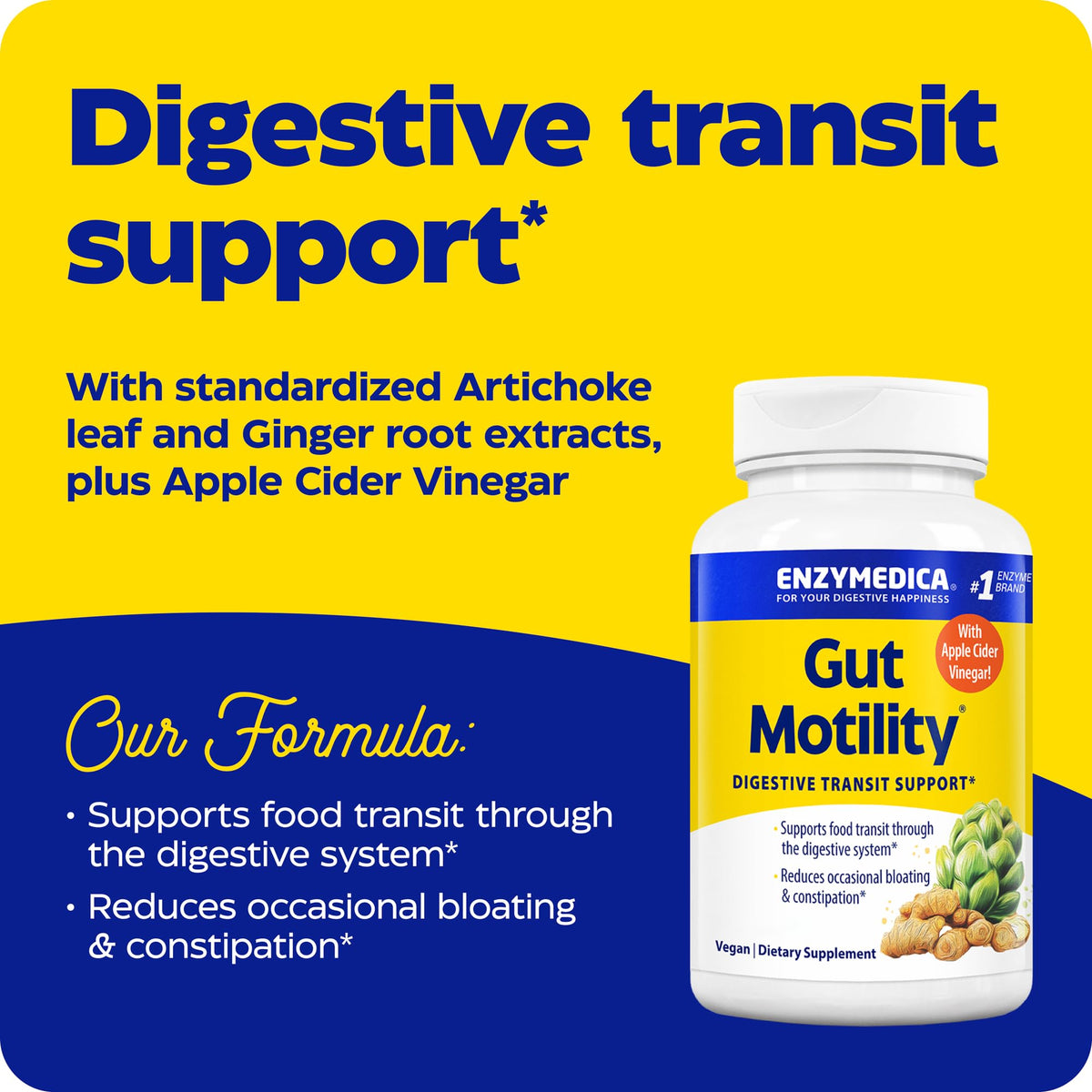 Enzymedica Gut Motility Supplement for Men & Women - Apple Cider Vinegar Capsules with Artichoke & Ginger Extract, Digestive Health Support for Adults Enzymedica