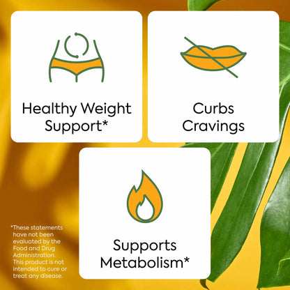 Plant People WonderBurn Metabolism & Cravings Control Gummies, Zero Sugar, Ripe Mango Flavor (60 Count) Plant People