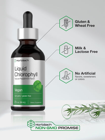 Horbäach Liquid Chlorophyll Drops | 2 oz | Vegan, Non-GMO, and Gluten Free Formula | Natural Peppermint Flavor Horbäach