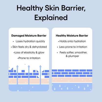 LANEIGE Water Bank Blue Hyaluronic Cream Moisturizer: Hydrating Korean Face Cream with Squalane & Ceramide LANEIGE