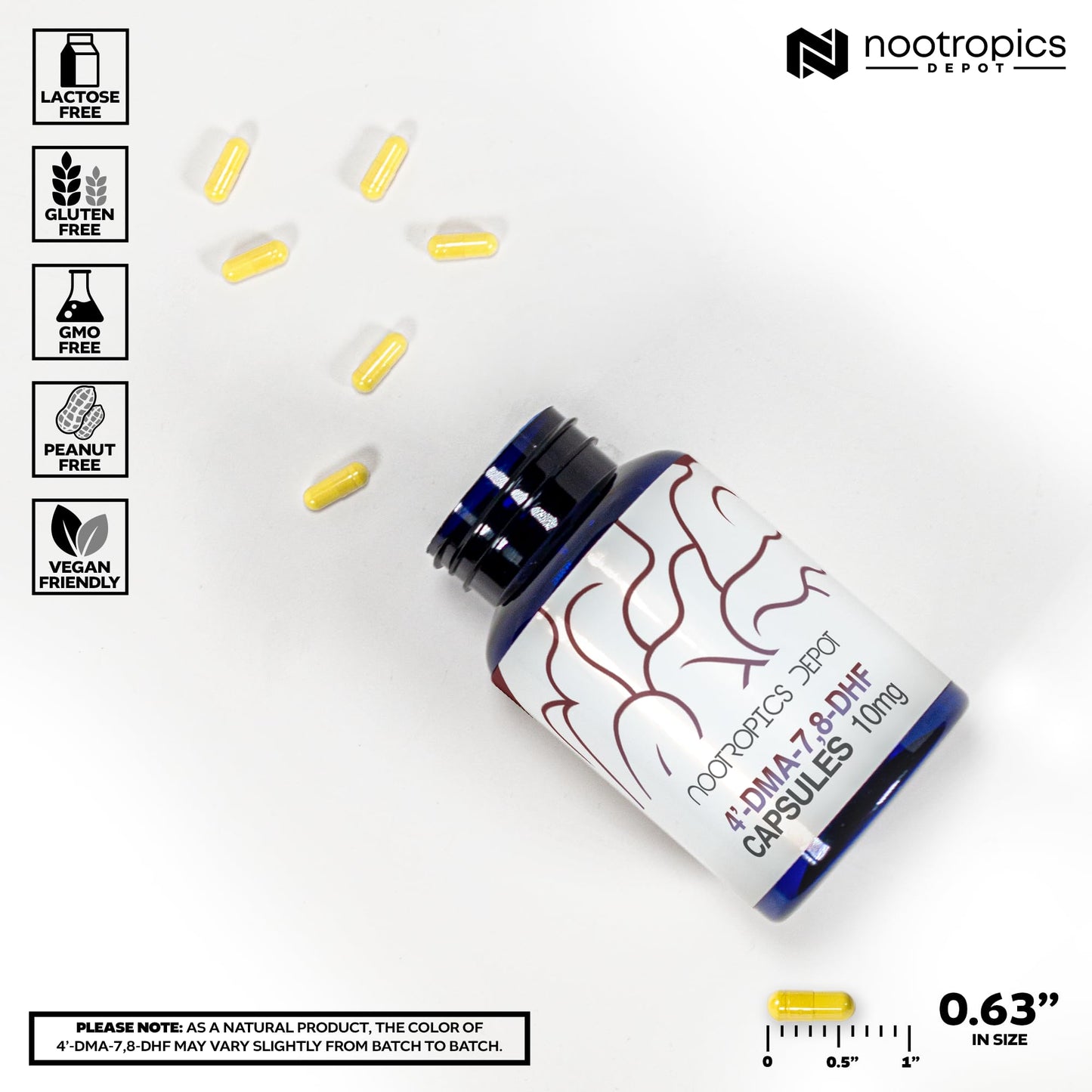 Nootropics Depot 4'-DMA-7,8-DHF Nutritional Supplement Capsules | 10mg | 30 Count | 4'-DMA-7,8-Dihydroxyflavone