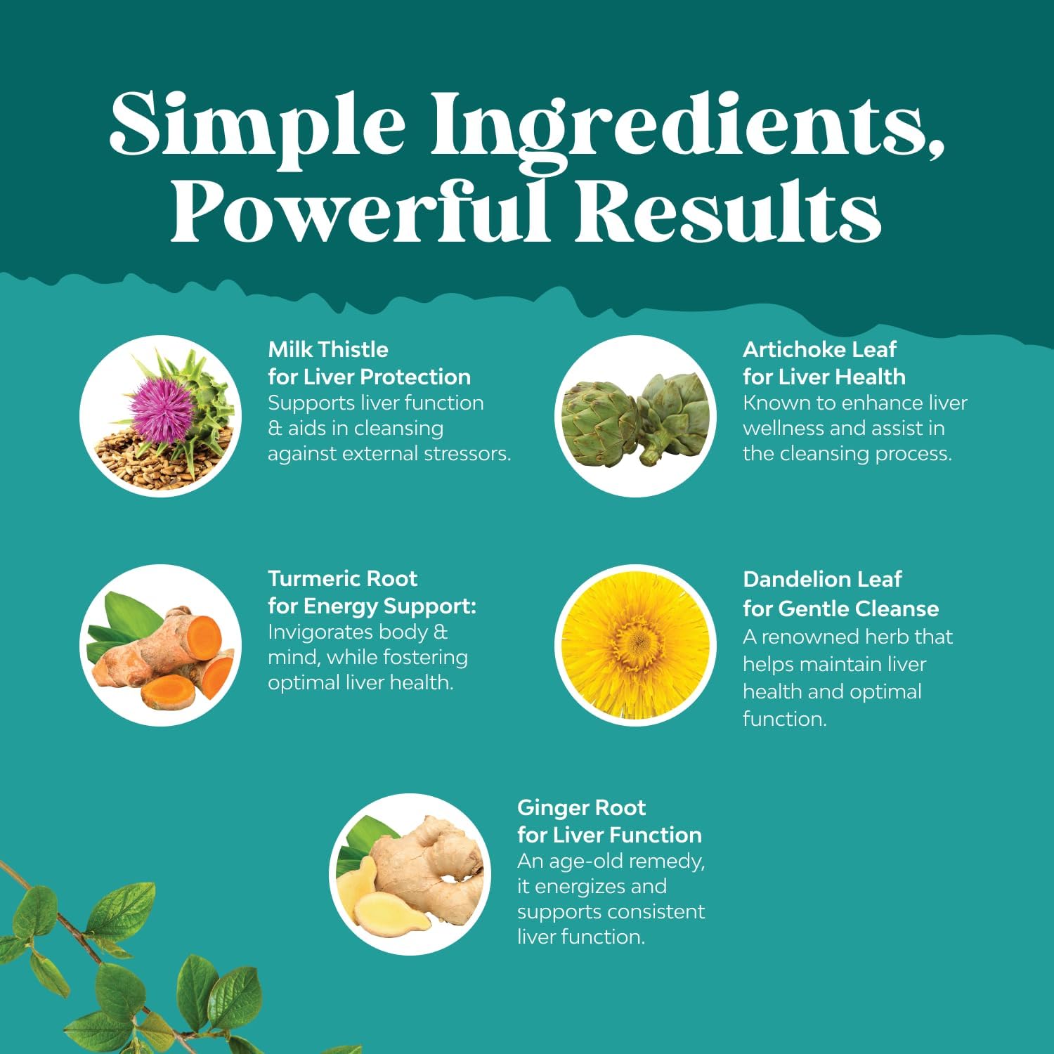 Deep Liver Cleanse, Detox & Repair with Milk Thistle Liquid Drops - Liver Detox Liquid Artichoke Extract with Dandelion Leaf, Ginger & Turmeric Curcumin for Immunity & Daily Cleanse - 2Fl OZ Gsupps Australia