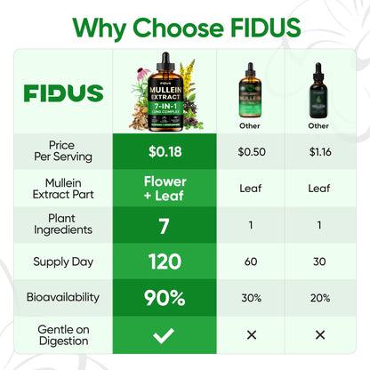 Mullein Drops for Lungs, 120 Servings - Mullein Leaf with 7 Herbs Echinacea, Oregano, Ginger, Elderberry, Marshmallow Root & Thyme - Lung Detox for Smokers Fidus