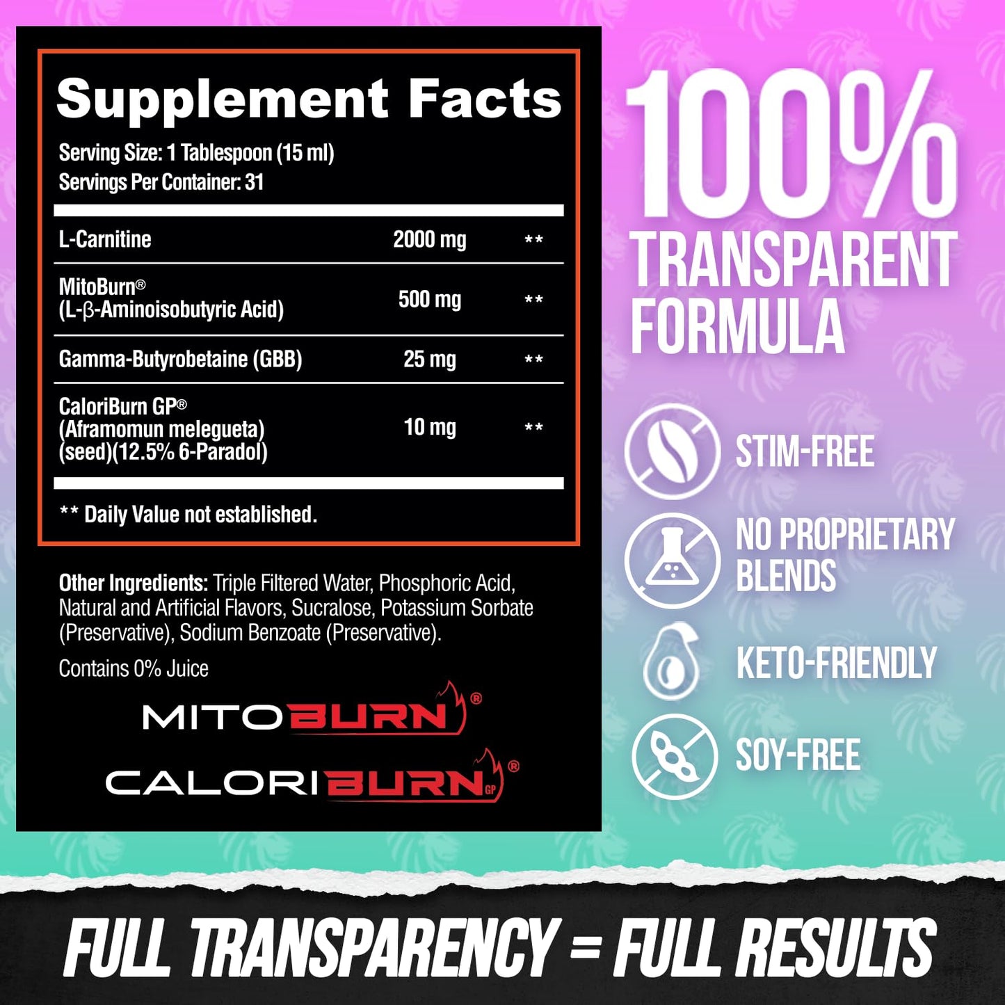 ALPHA LION Burn2O L-Carnitine Liquid 2000mg, Premium Liquid Fat Burner & Pre-Workout Supplement for Men & Women - Natural Energy & Metabolism Booster for Weight Loss - ShredBerry