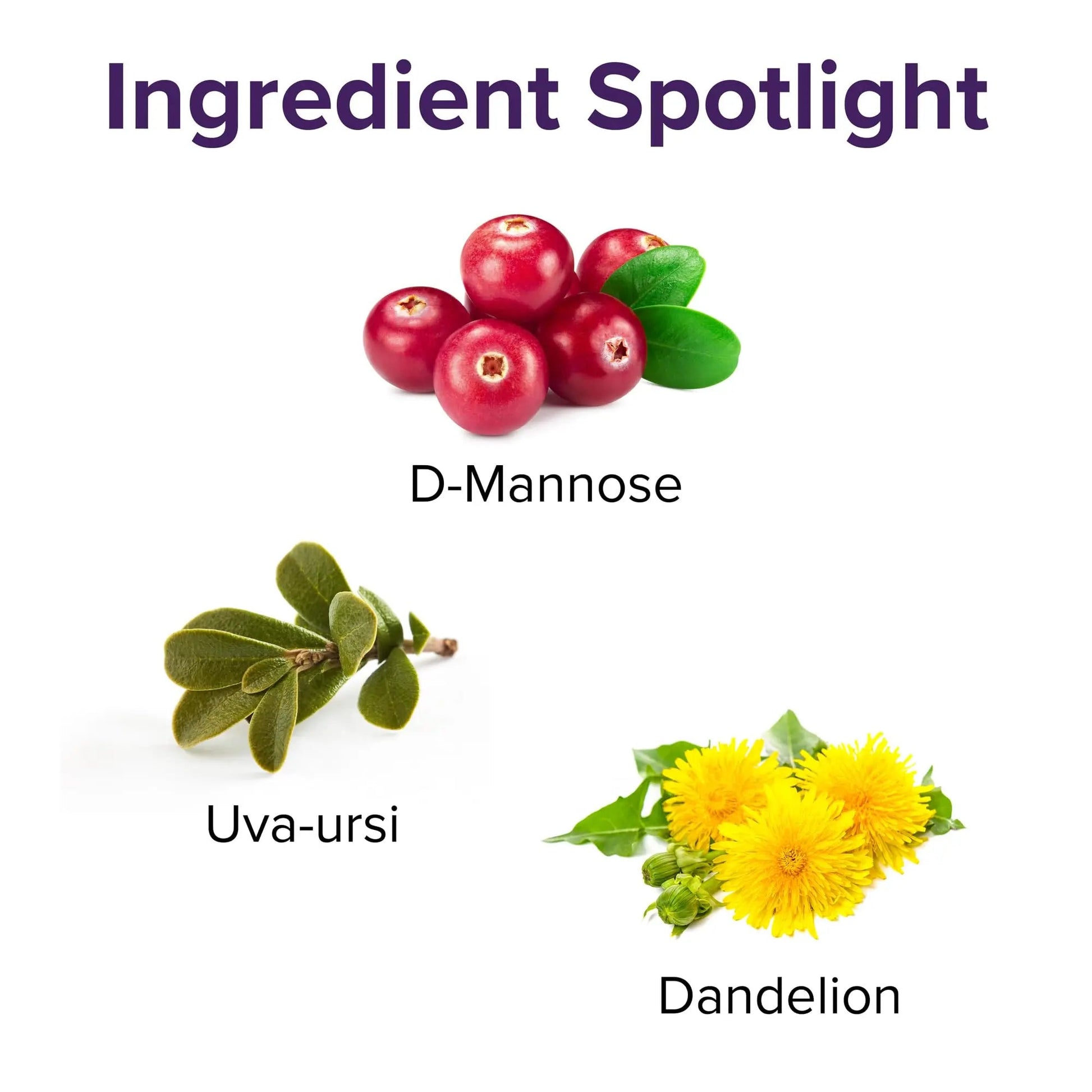 Vibrant Health, U.T. Vibrance Stick Packs, Crisis Intervention for Urinary Tract Health, 10 Servings Vibrant Health buy australia supplements