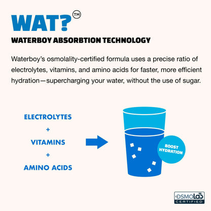 Waterboy Hydration Recovery Variety | 4-9x Electrolyte Powder Packets | Ginger + L-Theanine + L-Glutamine + Vitamins | No Sugar, All Natural, Gluten Free Waterboy