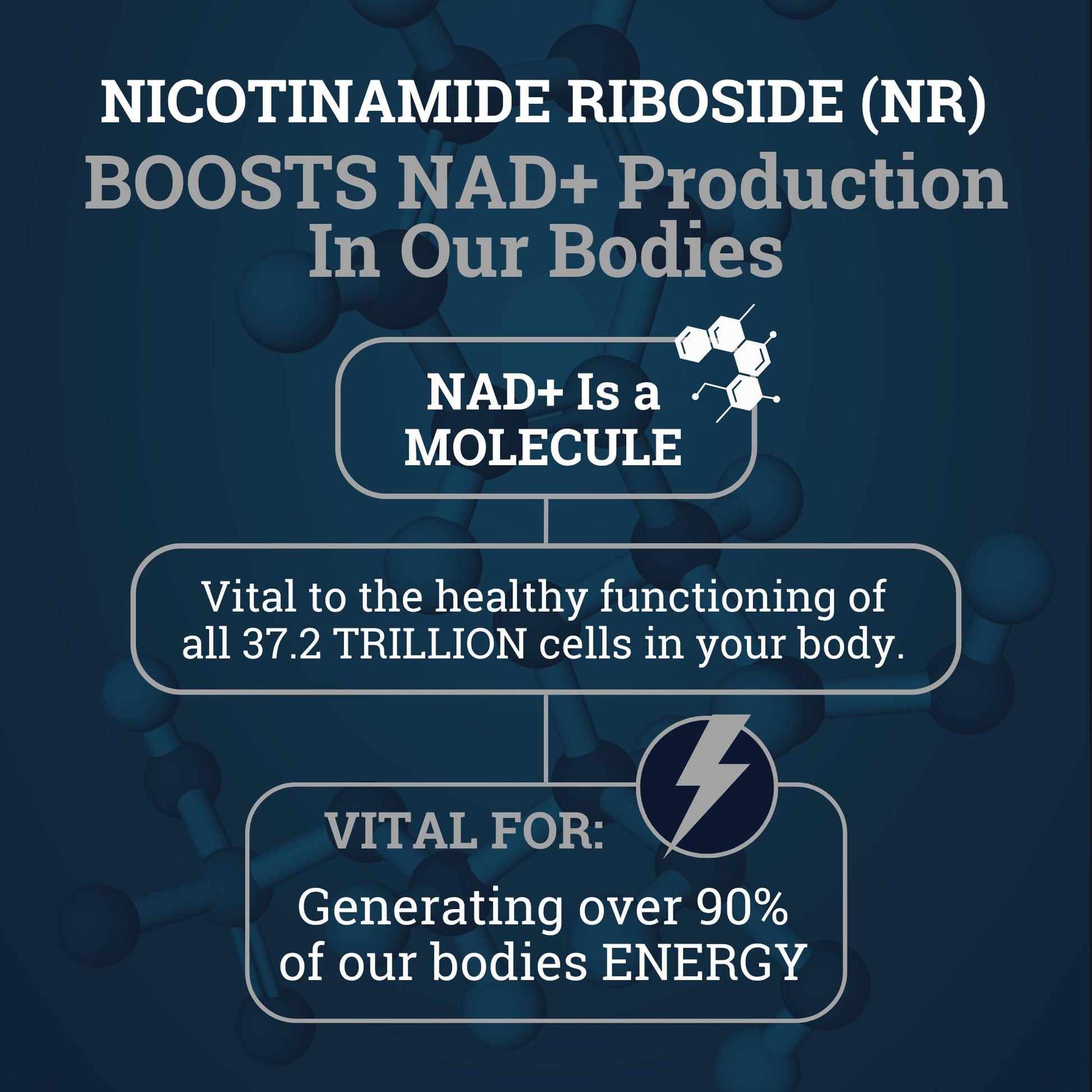 Black Forest NAD Nicotinamide Riboside 900 mg (Liposomal Nicotinamide Riboside 900mg Resveratrol, Quercetin 500mg & 150mg of NAD Resveratrol Supplement) 1550 MGS NR Supplement 900mg NAD+ Black Forest buy australia supplements