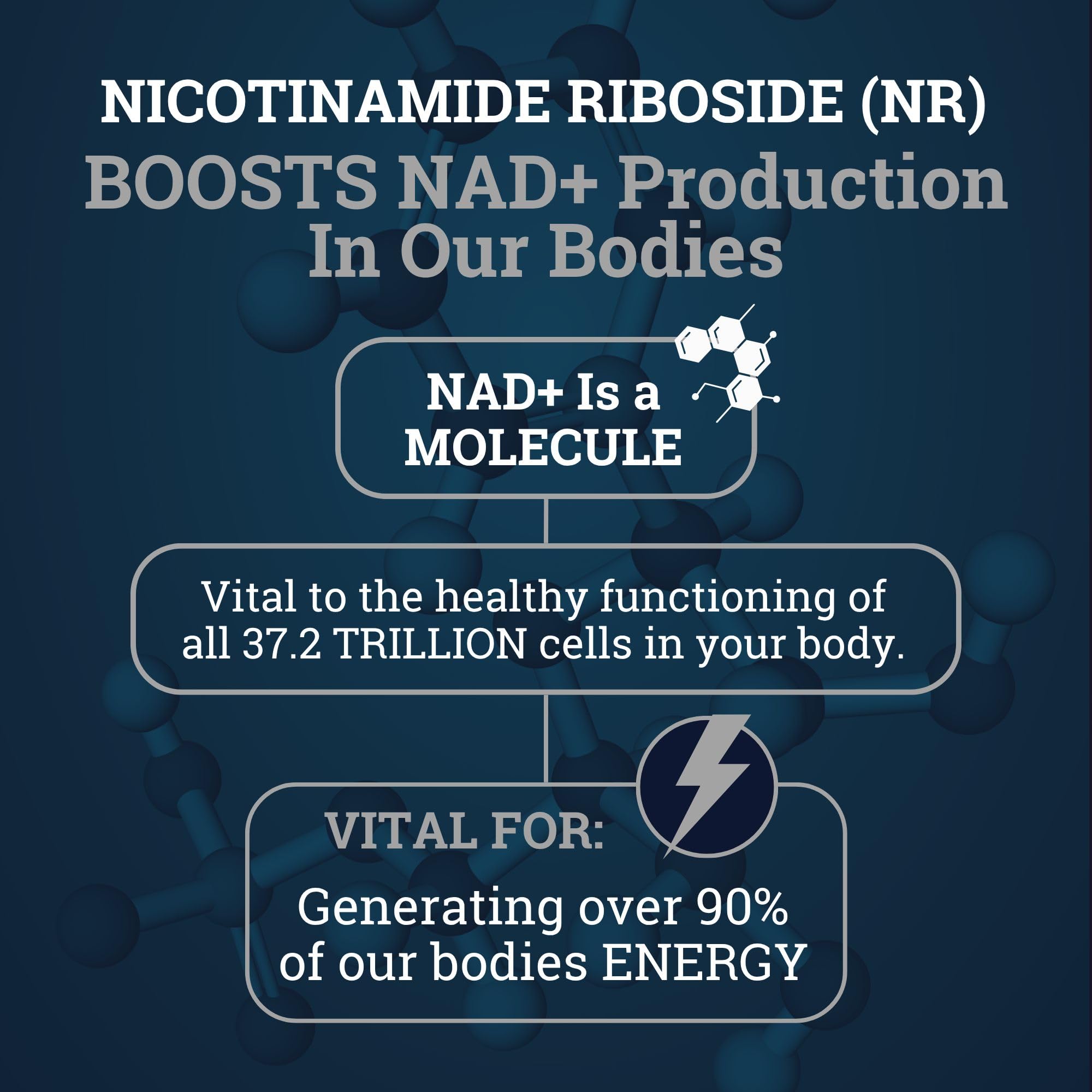 Black Forest NAD Nicotinamide Riboside 900 mg (Liposomal Nicotinamide Riboside 900mg Resveratrol, Quercetin 500mg & 150mg of NAD Resveratrol Supplement) 1550 MGS NR Supplement 900mg NAD+ Black Forest buy australia supplements
