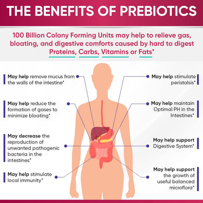 Wholesome Wellness Probiotics for Women 100 Billion CFUs with Prebiotics, Digestive Enzymes + Grass Fed Desiccated Beef Liver Capsules Bundle Gsupps Australia