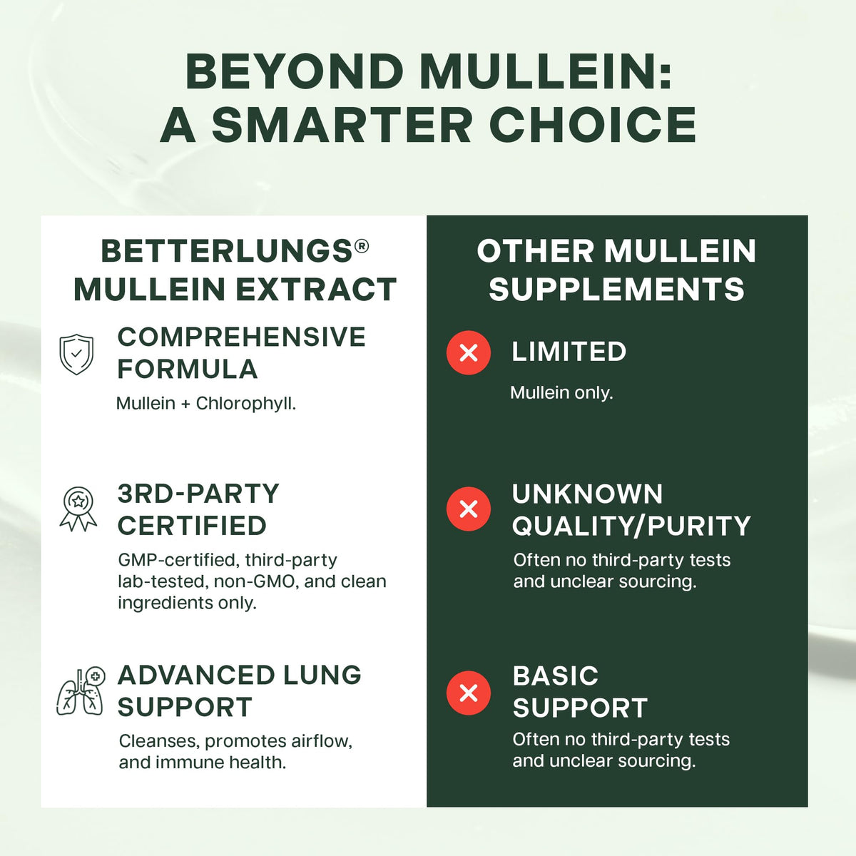 Betterbrand Mullein Drops for Lung Detox - Mullein Leaf Tincture with Chlorophyll - Helps Support Respiratory Health Betterbrand