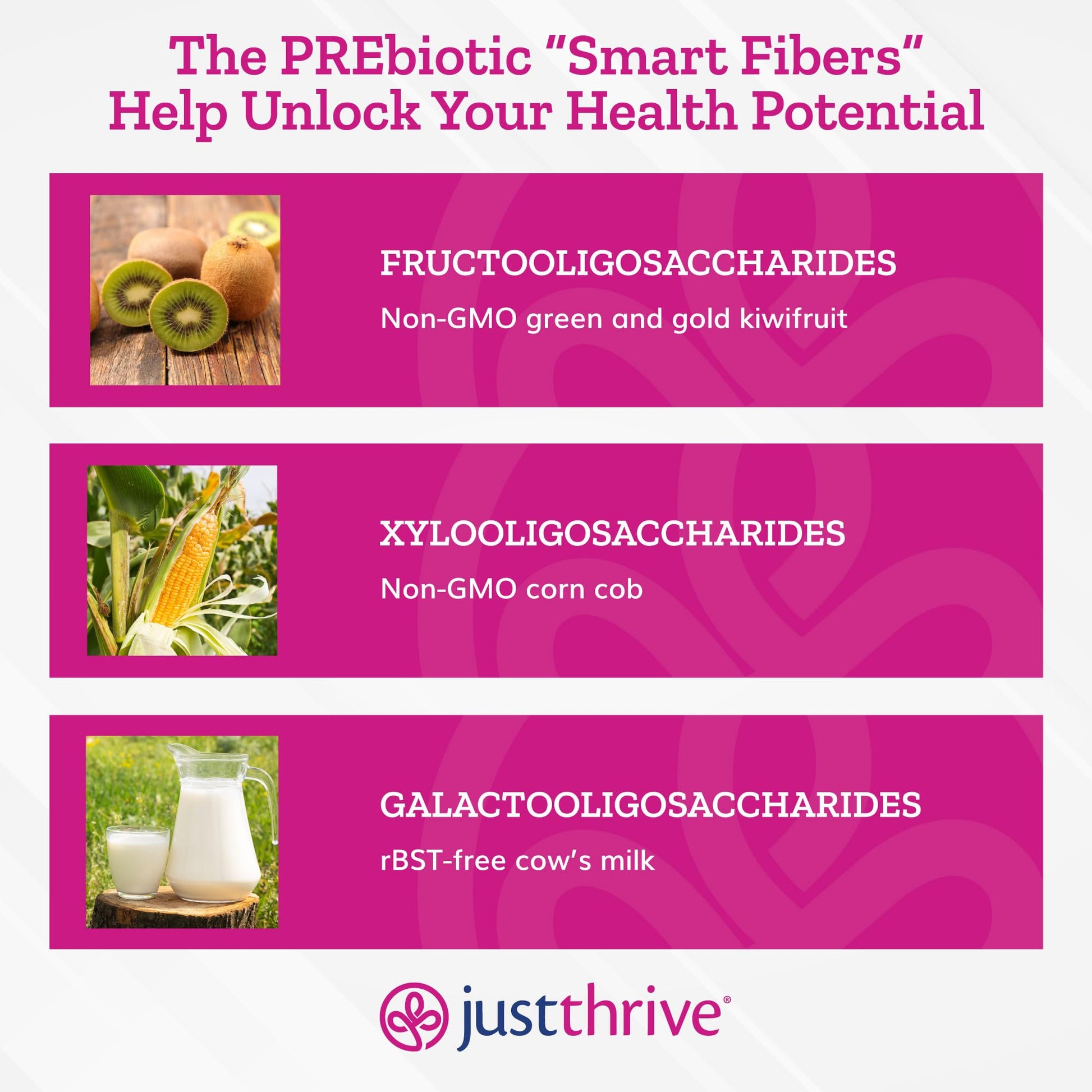 Just Thrive PREbiotic Powder - Digestive and Immune Support Supplement, 150 g Just Thrive buy australia supplements