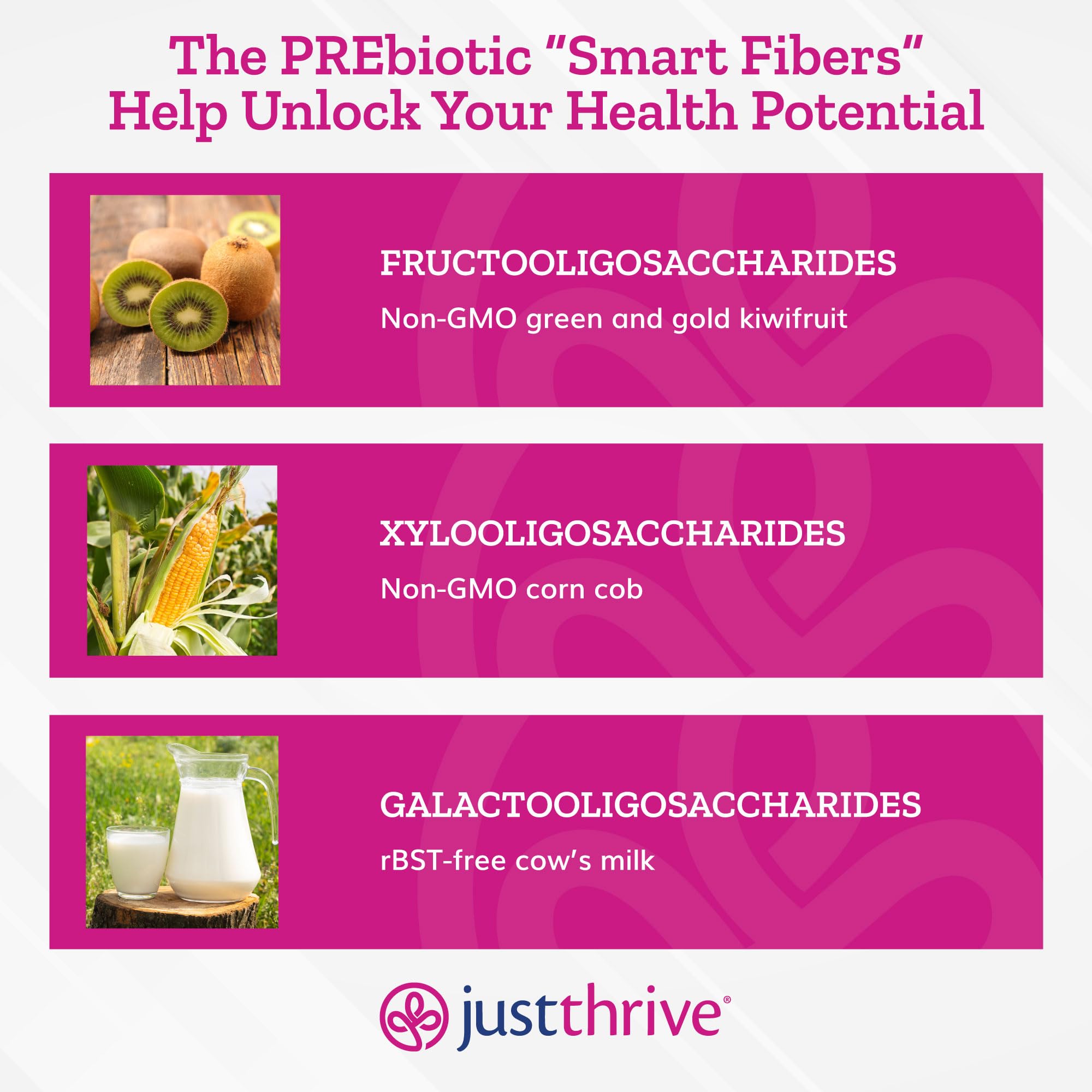 Just Thrive PREbiotic Powder - Digestive and Immune Support Supplement, 150 g Just Thrive buy australia supplements