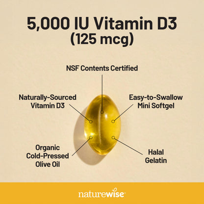 NatureWise Vitamin D3 5000iu (125 mcg) 1 Year Supply for Immune Support, Healthy Muscle Function, and Bone Health - Non-GMO NatureWise