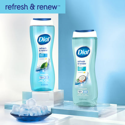 Dial Body Wash, Refresh & Renew Spring Water, 23 Fl Oz (Pack of 3), Hydraclean Complex & Vitamin E, Gentle, Leaves Skin Feeling Nourished, Dermatologist-Tested, No Parabens & Sulfates Dial