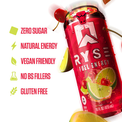 RYSE Fuel Energy Drink - Variety Pack - Sugar Free, Gluten Free & Vegan - 200mg Natural Caffeine, Taurine & Choline for Focus & Energy - No Artificial Colors - 16 fl oz Cans (12-Pack)