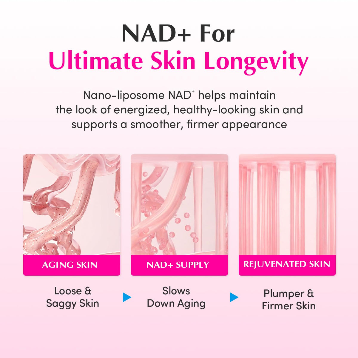 EQQUALBERRY NAD+ Peptide Boosting Cream – NAD+ 5% & 13 Peptides Anti-Aging Korean Skincare Face & Body Cream | Firming & Lifting Pink Neck Cream for Sagging Skin (1.69 fl.oz / 50ml) EQQUALBERRY