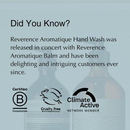 Aesop Reverence Aromatique Exfoliating Hand Wash | Exfoliating Hand Soap with Finely Milled Pumice | Gentle Cleansing & Skin-Smoothing Formula with Vetiver, Petitgrain & Bergamot | 500mL / 16.9 oz Aesop