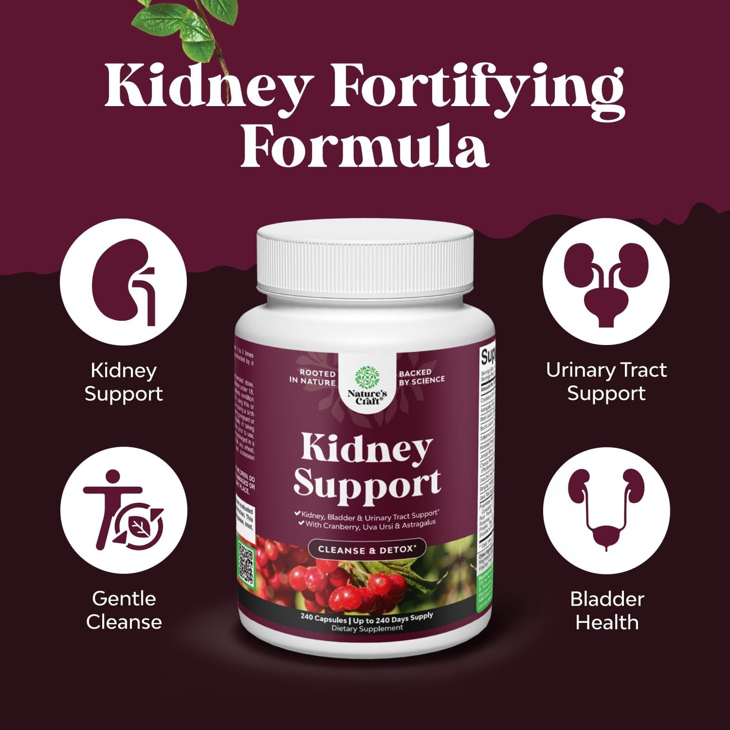 Advanced Kidney Cleanse Support - Cranberry Supplement - 60 Capsules | Kidney Support Supplement with Uva Ursi, Stinging Nettle Leaf & Astragalus - Urinary Tract Support - Vegan - 60 Servings Gsupps Australia