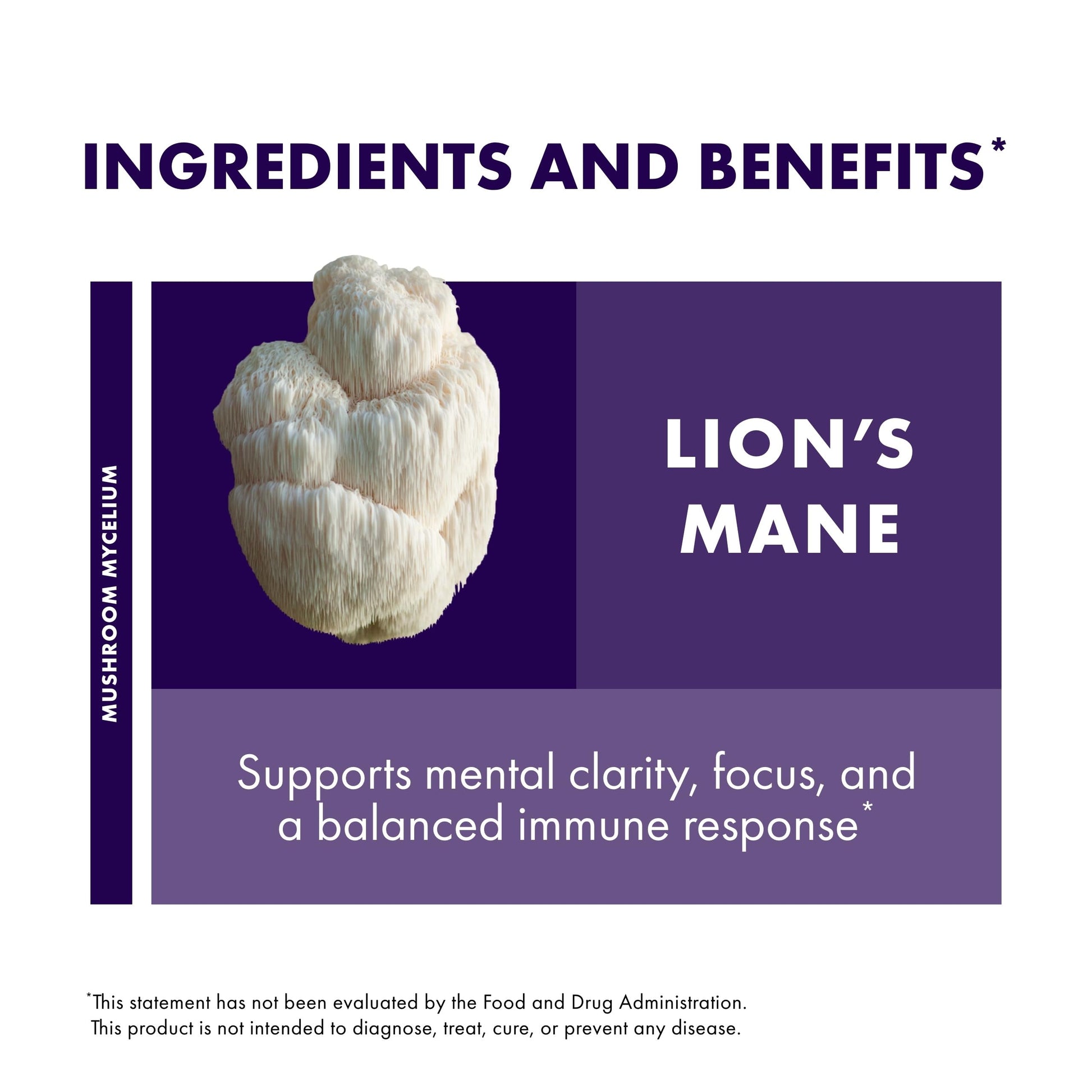 Host Defense Mushrooms Lion's Mane - Supplement Capsules for Brain Health Support - Mushroom Support for Focus & Memory Function Host Defense