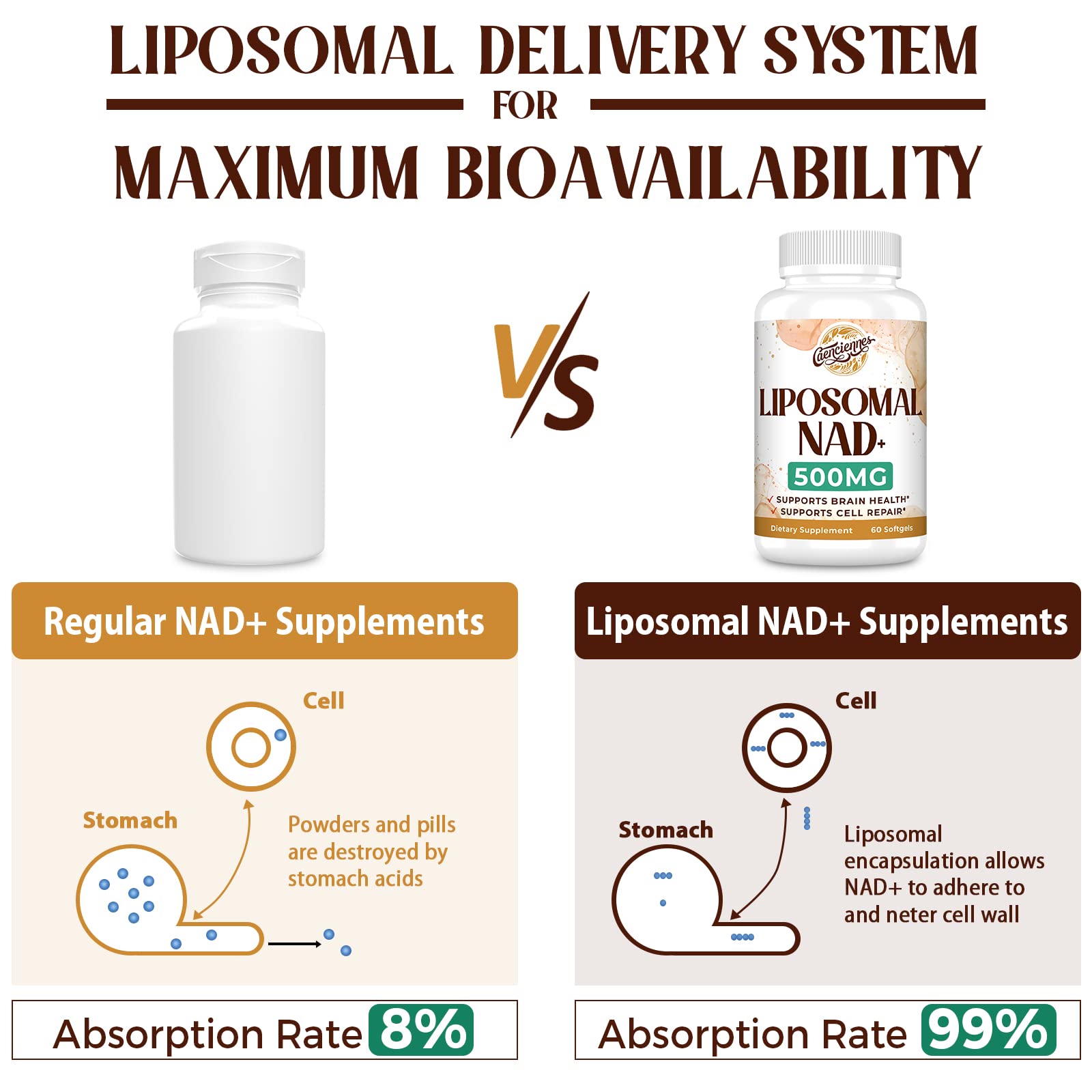 Caenciennes Liposomal NAD+ 500 MG Supplement, True NAD Plus Supplement, Superior Absorption, Boost NAD+ More Efficient Than Nicotinamide Riboside for Cellular Energy, Healthy Aging, 60 Serving Caenciennes buy australia supplements