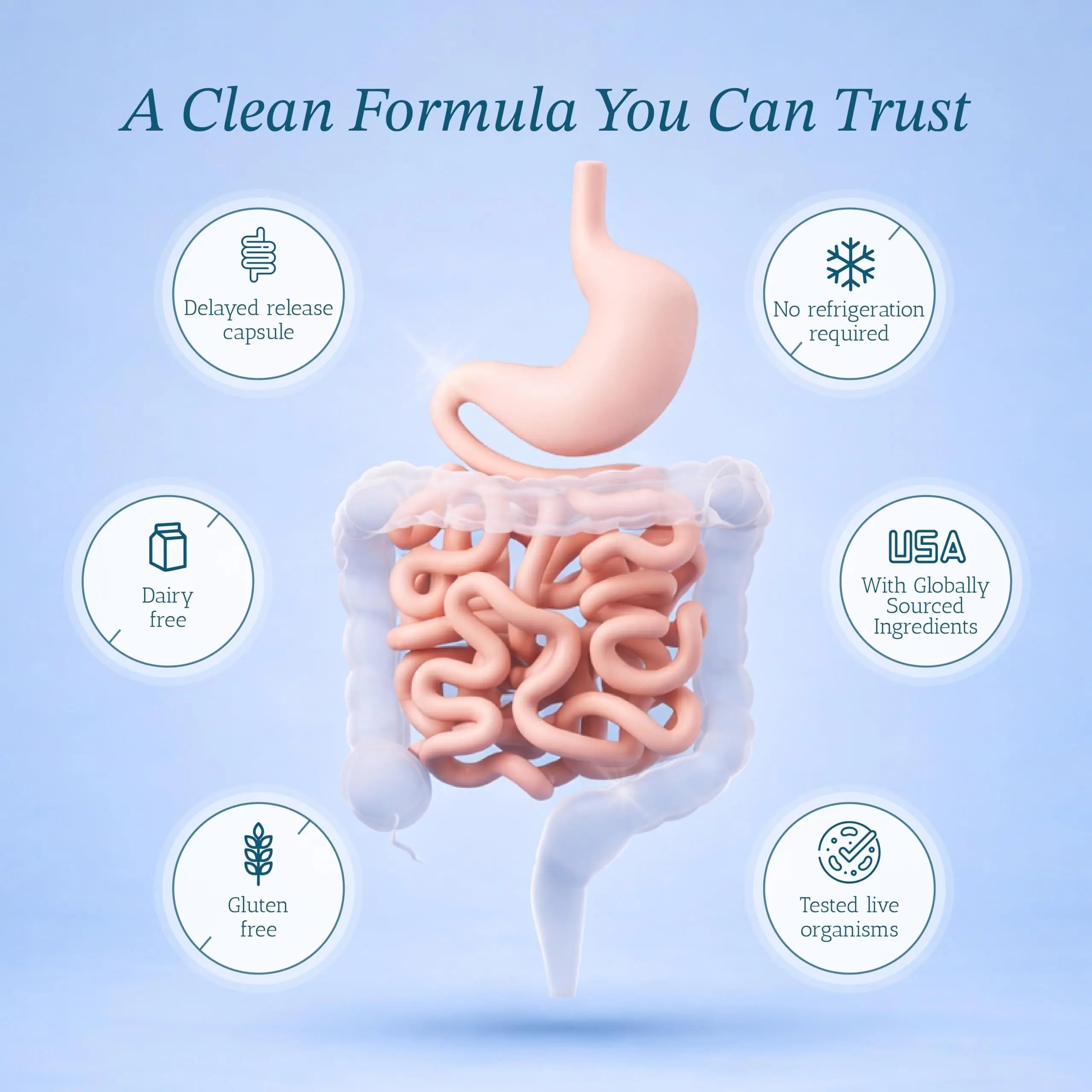 Vitamin Bounty Pro-50 Probiotics 50 Billion CFU for Women & Men - 13 Multi Strain Probiotic + Prebiotic - Digestive Health Supplements for Gut Health Support - Delayed Release Capsules for Men & Women Vitamin Bounty buy australia supplements