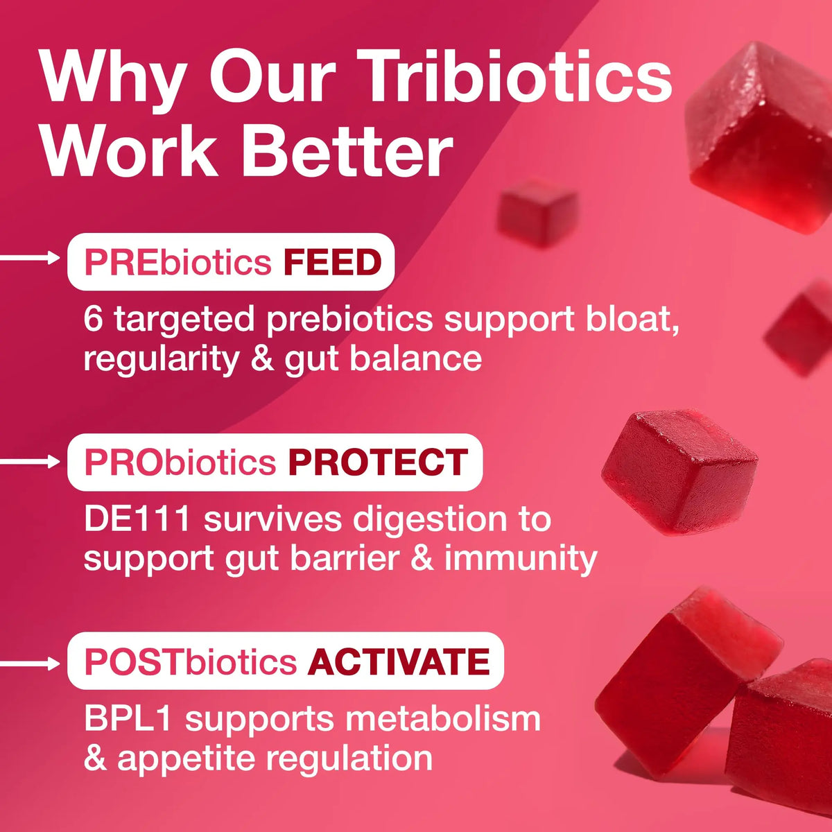 The Gut Gummy, 360° Daily Gut Reset, Full-Spectrum Tribiotic for Women & Men, Prebiotics Probiotics Postbiotics for Bloating, Belly Fat, Skin & Immune Support, Sugar Free Tart Cherry Gummies, 60 Count The Gut Gummy